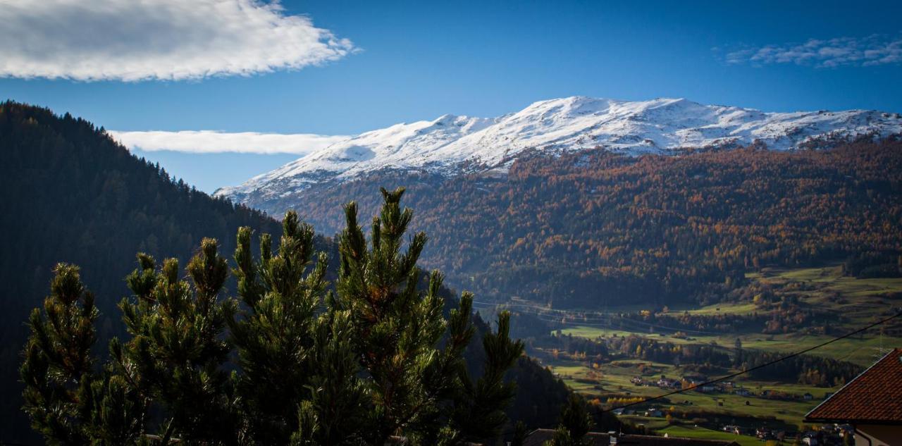 Alpenapart Hochzeiger Jerzens Eksteriør bilde